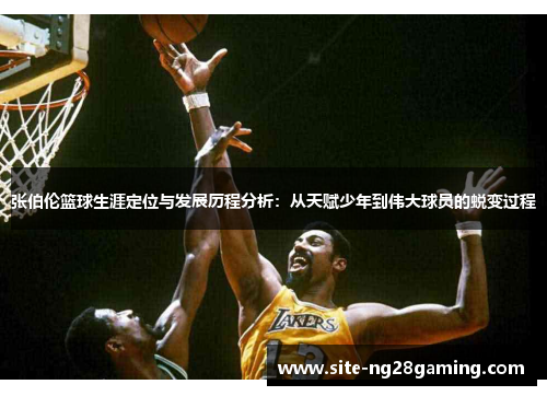 张伯伦篮球生涯定位与发展历程分析：从天赋少年到伟大球员的蜕变过程