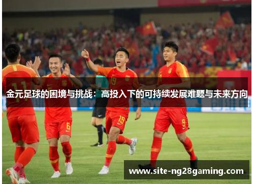 金元足球的困境与挑战:高投入下的可持续发展难题与未来方向 金元足球的困境与挑战:高投入下的可持续发展难题与未来方向