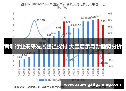 青训行业未来发展路径探讨 大宝启示与新趋势分析