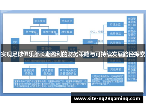 实现足球俱乐部长期盈利的财务策略与可持续发展路径探索