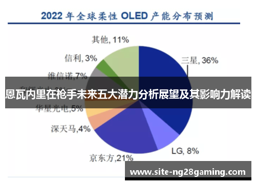 恩瓦内里在枪手未来五大潜力分析展望及其影响力解读
