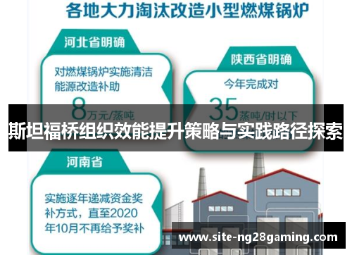 斯坦福桥组织效能提升策略与实践路径探索