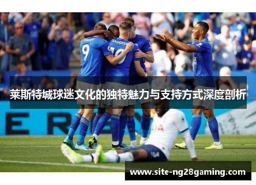 莱斯特城球迷文化的独特魅力与支持方式深度剖析