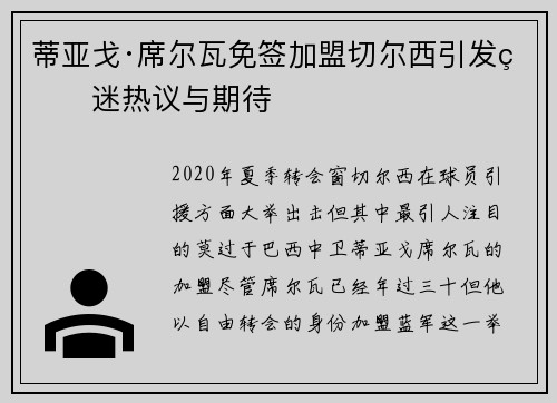 蒂亚戈·席尔瓦免签加盟切尔西引发球迷热议与期待