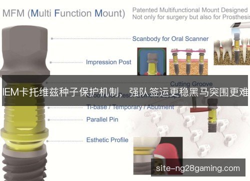 IEM卡托维兹种子保护机制，强队签运更稳黑马突围更难